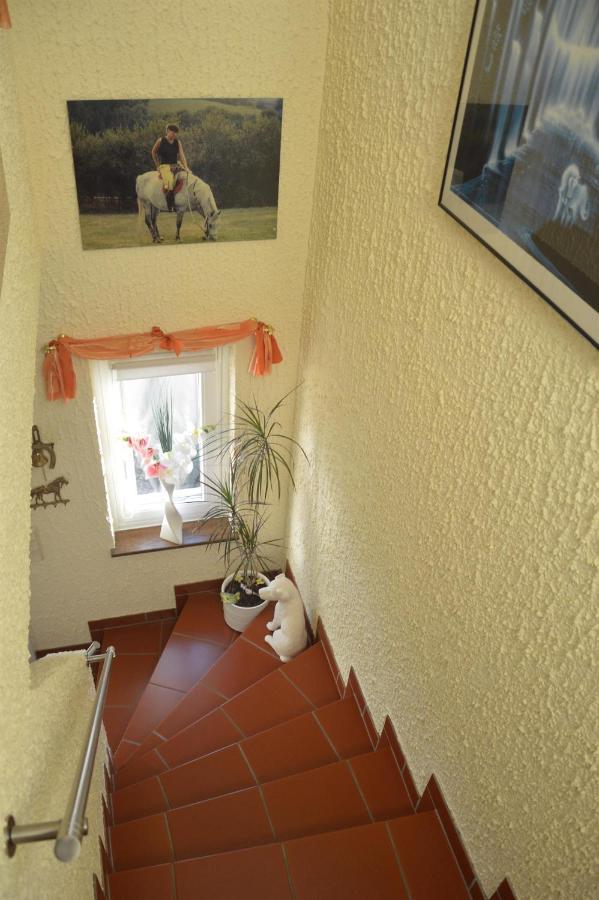 Ferienwohnung Auszeit Waxweiler 외부 사진